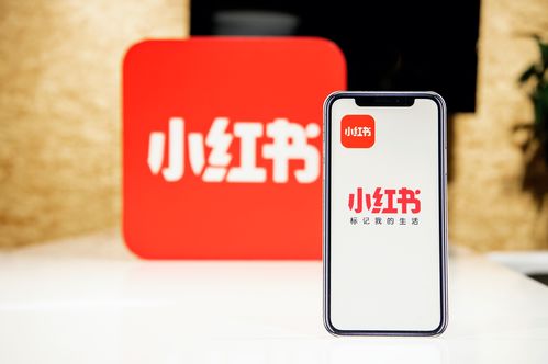 小红书创作者中心上线，为优质创作者带来专业成长新机遇